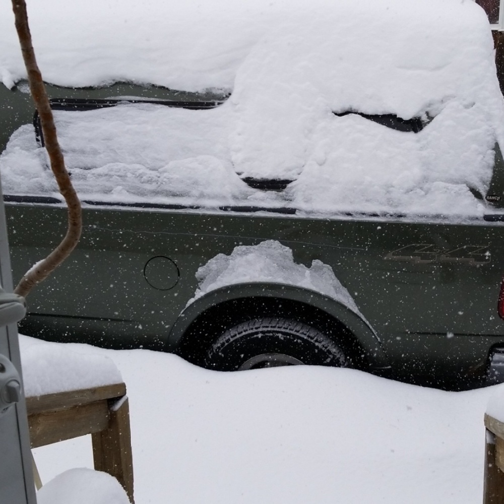Minnesota White